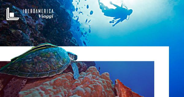 ECUADOR: 5 Animali Esotici delle Galápagos - Iberoamerica Viaggi