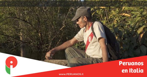 PERÚ: Amadeo, la última persona que habla el Taushiro - Peruanos en Italia